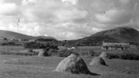 Object Harvest scene near Croagh Patrick, County Mayo.has no cover