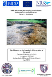 Object Archaeological excavation report,  03E1465 Fermoy 1,  County Cork.cover picture