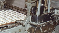 Object Marshmallow depositing machine at the Jacob's Biscuit Factorycover picture