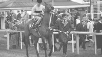 Object Arkle at Leopardstown Racescover picture