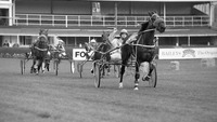 Object Harness Racing, Spring Show, RDS, Ballsbridge, Dublincover picture