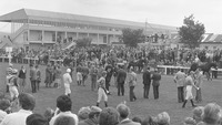 Object Punchestown Races, Co. Kildarecover picture