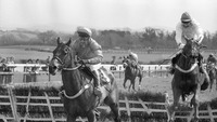 Object Horse Racing, Punchestown, Co. Kildarecover picture