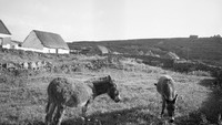 Object Inisheer, Aran Islands, Co. Galwaycover