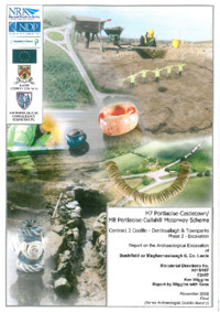 Object Archaeological excavation report, E2457 Bushfield or Maghernaskeagh 6, County Laois.cover picture