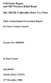 Object Archaeological excavation report,  04E0029 Cahircalla More Site AR128,  County Clare.cover picture