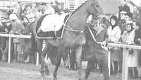 Object Arkle at Leopardstown Races, Co. Dublincover picture