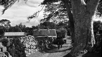 Object View at Oughterard, Co. Galwaycover picture