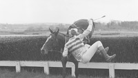 Object Punchestown Races, Co. Kildarehas no cover picture