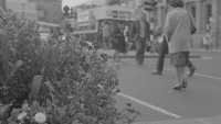 Object College Street, Plants & Flower Urnscover