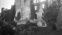 Object Leap Castle, Co. Offalycover picture
