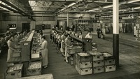 Object Jacob's Factory workers in Aintreehas no cover picture