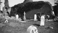 Object Clontuskert Abbey, Co. Galway, Cloister area south of Churchcover picture