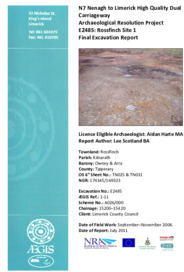 Object Archaeological excavation report,  E2485 Rossfinch Site 1,  County Tipperary.cover picture
