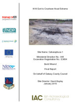 Object Archaeological excavation report,  E3654 Caheraphuca 1,  County Clare.cover picture