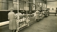 Object Airtight carton plant in the Jacob's Factory in Aintreecover picture