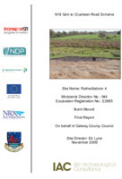 Object Archaeological excavation report,  E3655 Rathwilladoon 4,  County Galway.has no cover picture