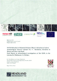 Object Archaeological excavation report,  E2859 Mullamast,  County Kildare.cover picture