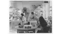 Object Interior view of ceramics department with people at workcover picture