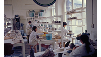 Object People working in ceramics departmenthas no cover picture