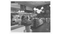 Object View of shop floor including IQ lightcover