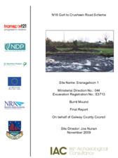 Object Archaeological excavation report,  E3713 Sranagalloon 1,  County Clare.cover picture