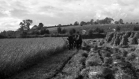 Object Harvesting scenes, Carrickmacross, County Monaghan.cover picture