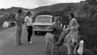 Object Donkeys, Beara Peninsula, County Cork.cover picture