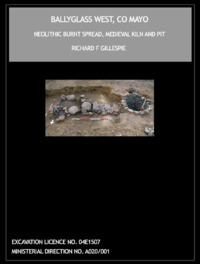 Object Archaeological excavation report,  E1507 Ballyglass West,  County Mayo.cover picture
