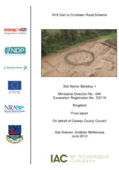 Object Archaeological excavation report,  E3719 Ballyboy 1,  County Galway.has no cover
