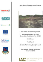 Object Archaeological excavation report,  E3720 Drumminacloghaun 1,  County Galway.has no cover picture