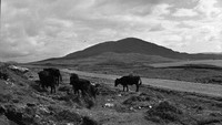 Object Lough Inagh, Connemara, Co. Galwaycover