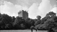 Object Blarney Castle, Co. Corkcover picture