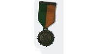 Object The 1916 Medal.cover