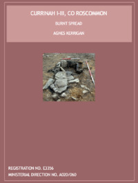 Object Archaeological excavation report,  E3356 Currinah I-III,  County Roscommon.cover picture