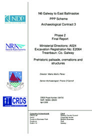 Object Archaeological excavation report,  E2064 Treanbaun,  County Galway.cover picture