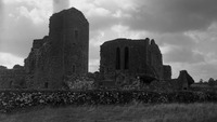 Object Ballybeg Abbey near Buttevant, Co. Corkcover picture