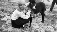 Object Girl with Donkey, County Donegal.cover picture