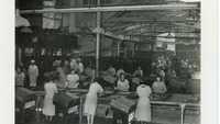 Object Female workers standing by a conveyor belt within the Jacob's factorycover picture
