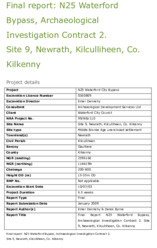 Object Archaeological excavation report, 03E0809 Newrath 9, County Waterford.has no cover picture