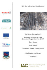Object Archaeological excavation report,  E3897 Sranagalloon 3,  County Clare.cover picture