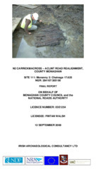 Object Archaeological excavation report, 03E1254  site 111 Monanny 2, County Monaghan.cover picture