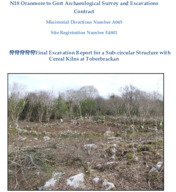 Object Archaeological excavation report,  E4801 Toberbrackan,  County Galway.cover picture