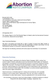 Object ARC Response to the Shadow Report to the Third Periodic Report of Ireland under the ICESCRcover picture