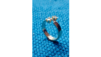 Object Gold diamond ringhas no cover
