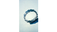Object White gold cast ringcover picture