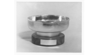 Object Silver fruit bowlcover picture