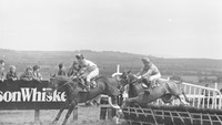 Object Punchestown Races, Co. Kildarehas no cover picture