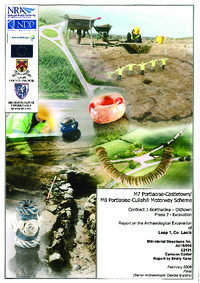 Object Archaeological excavation report,  E2131 Leap 1,  County Laois.cover picture