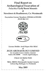 Object Archaeological excavation report, 03E1666 Newdown, County Westmeath.cover picture